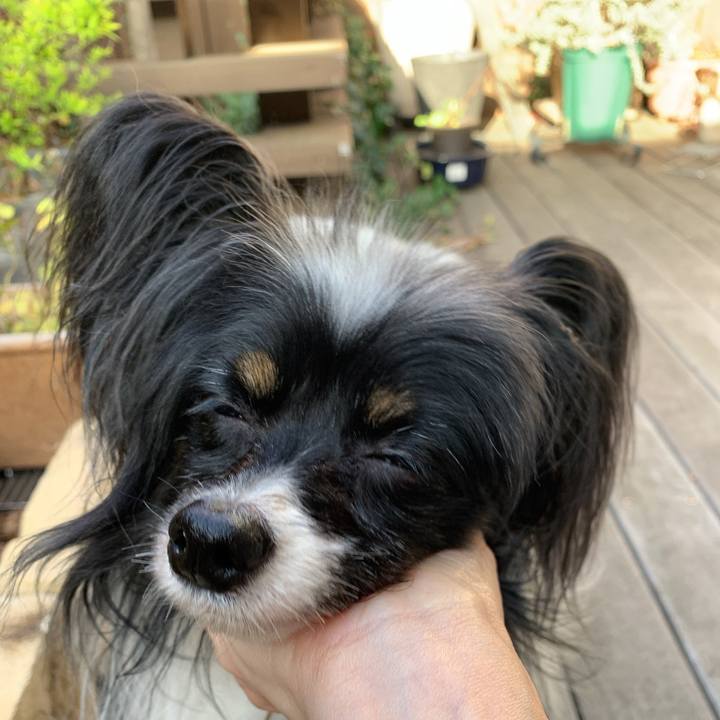 933b129d 7a54 49fd bb16 510b57774b04 1615426021387