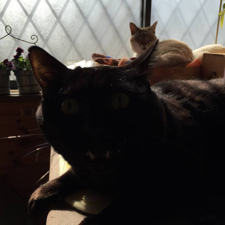 933bef9e b5d9 4183 822e c45383ac2881 1517366475536