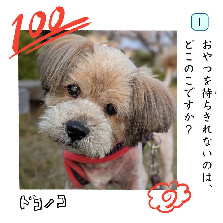 933bf957 28cc 41e9 bdf7 1f3a179931d5 1744264914581