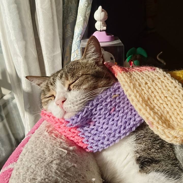 933bf9a1 2165 459c 9893 14d83c38d09c 1543980680973