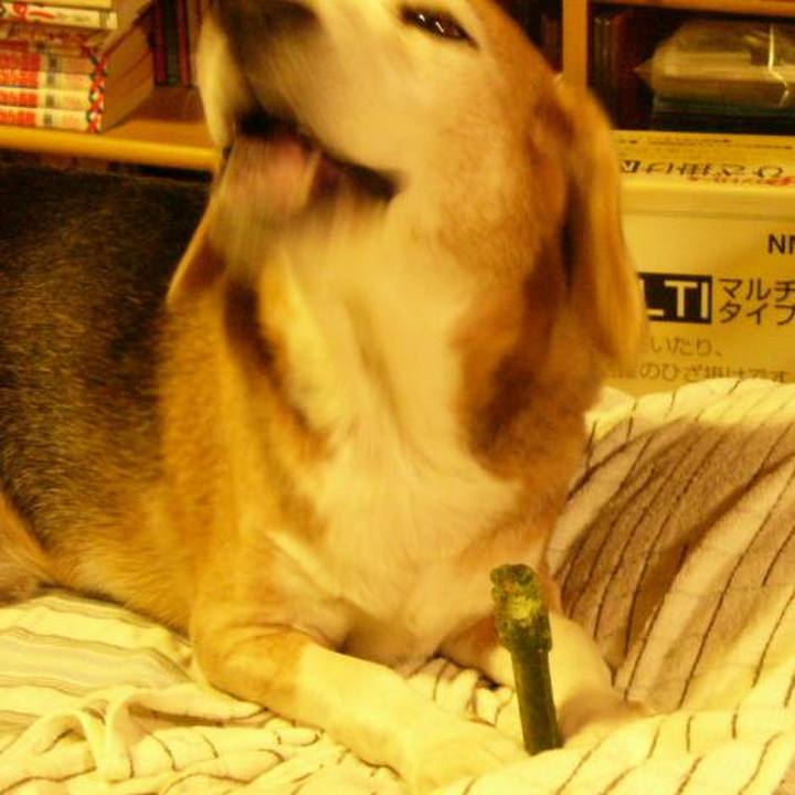 933c08cc 2a80 42fd a754 e6e10e6c0329 1647218654167