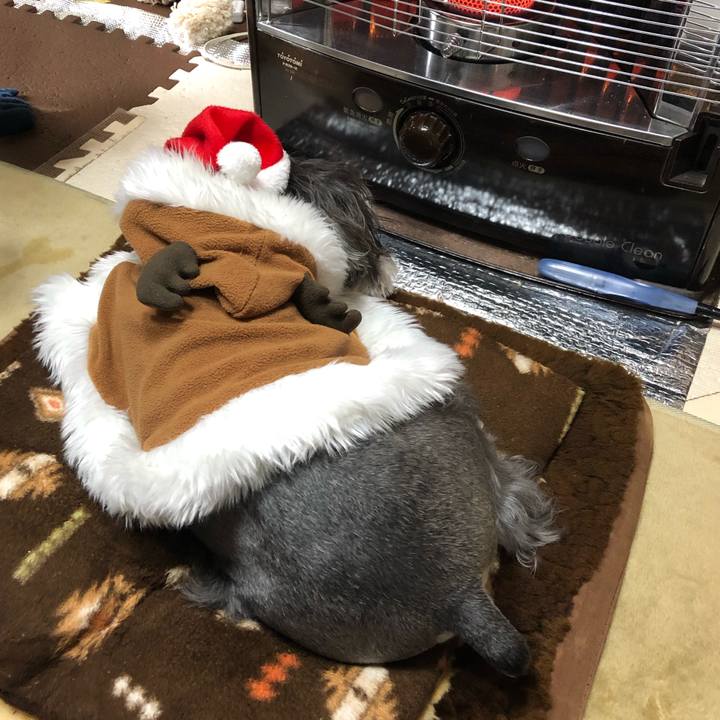 933c306e ce7d 4abc a9ab 9ba942fea4f8 1545623116606