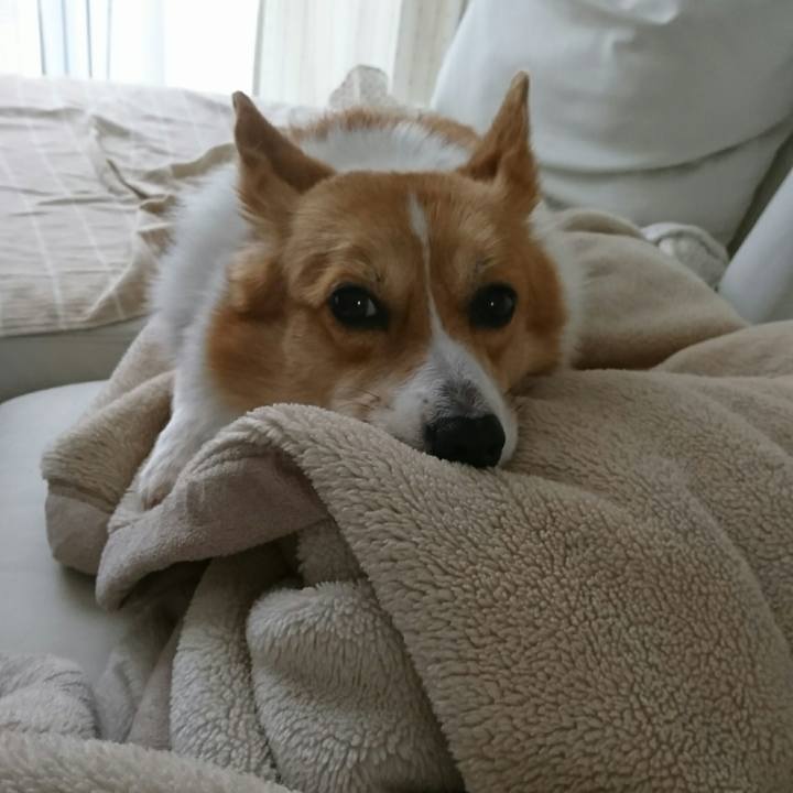 933c6b44 c9eb 4ece bddc f85523f07489 1538102805351