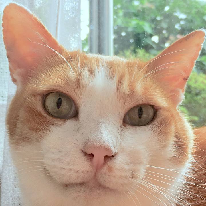 933c6dce 222e 4ac2 b9b0 7e3d845457ef 1566358107143