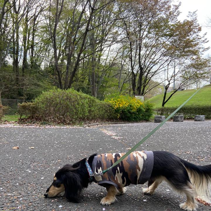 933c80cc aaaa 4de2 a016 59cd83fca0b8 1744270951442