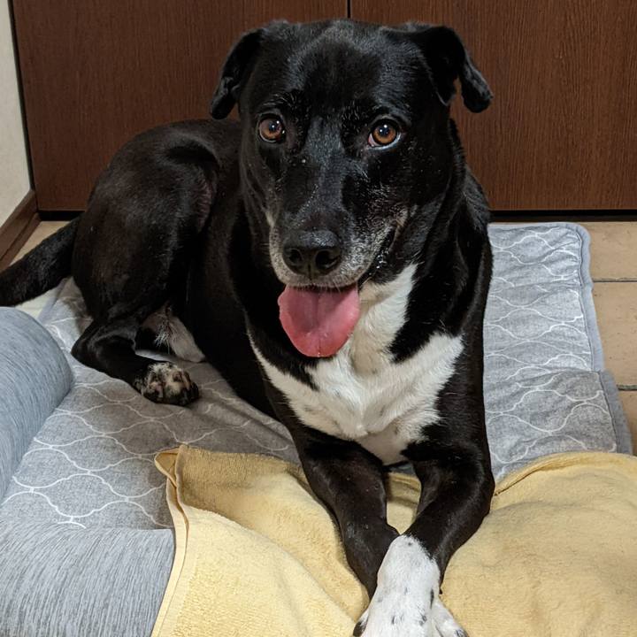 933cb9a6 e67a 4f17 aa27 bac75cd1317b 1694687966425