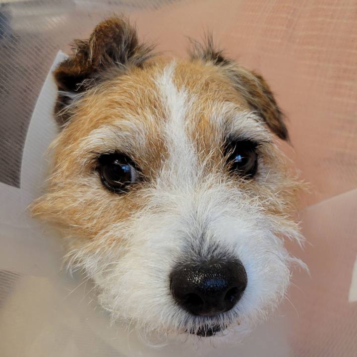 933cc611 47f4 4b30 9f07 22ee716ed3a6 1718939271731