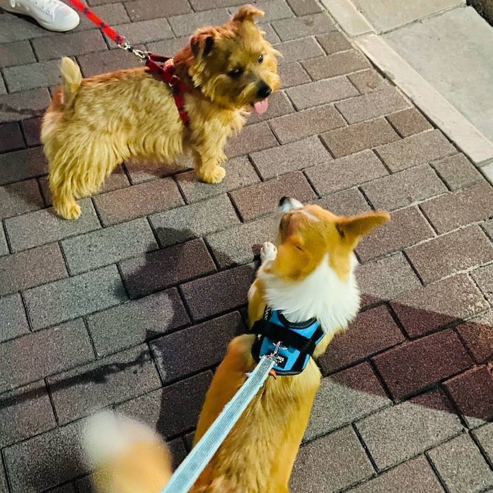 933cdc7d 7d2c 439a af4d 2b6fcc73b1e0 1620988035401