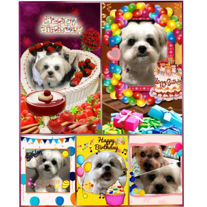 933cfcaf b83d 46bb beb6 1d96bcd29100 1532063918667