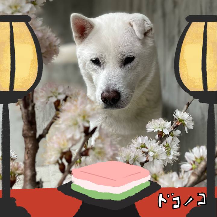 933d14d1 8035 4cba ae56 ee69da220eb3 1741161785537