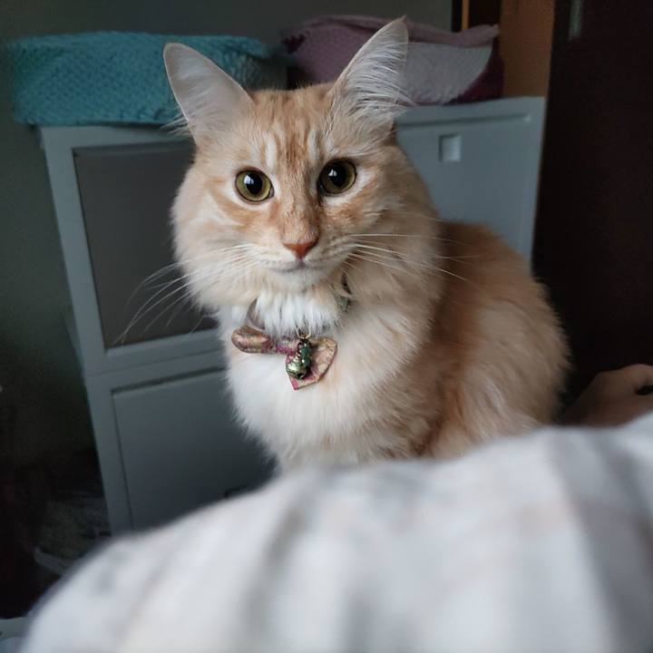 933d1a42 8c56 4527 9ee1 5a324c4e73f1 1696112219885