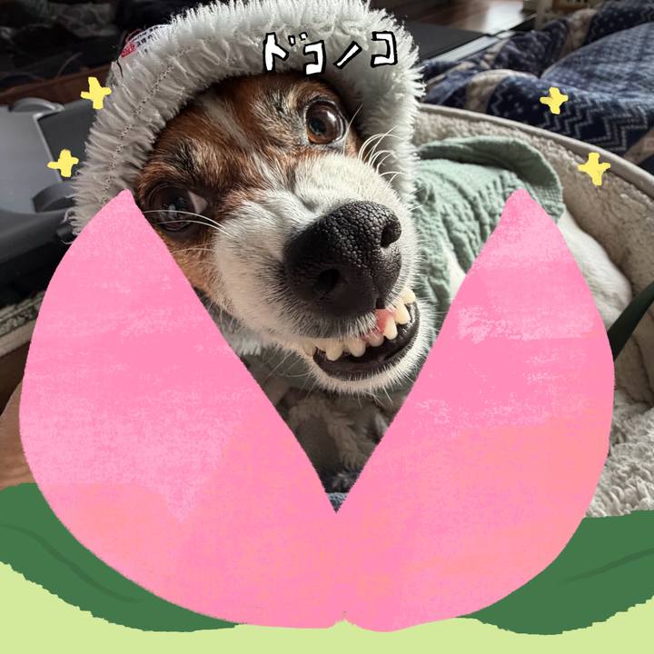 933d543e 4b0f 47e3 8470 93e9cc6e3279 1771887796158