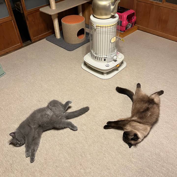 933d59bc 3765 4f65 b6fb 477664ebb0d6 1648295599942