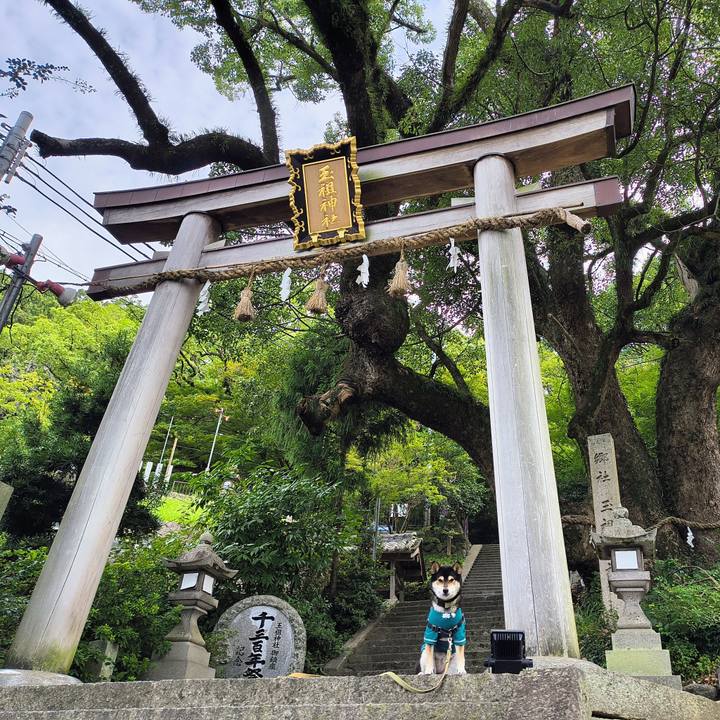 933d6d52 fc4a 4ac2 8c98 44695bb4e8ce 1758623815484