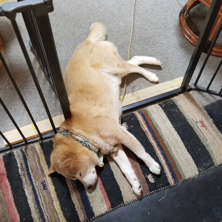 933d7056 d9db 42e0 8c2b eedf025aeb8a 1706313877496