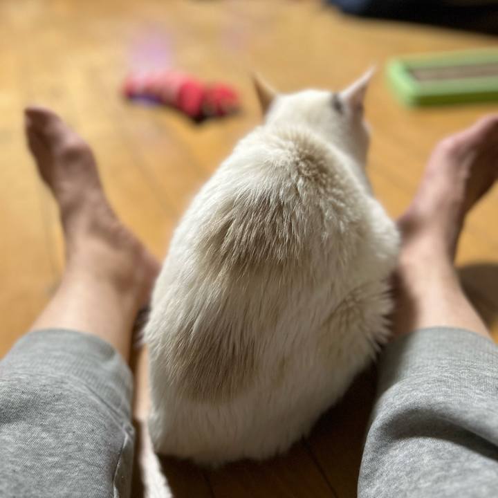 933d81d4 525e 4537 afa5 6f1e15f5a166 1773061994766