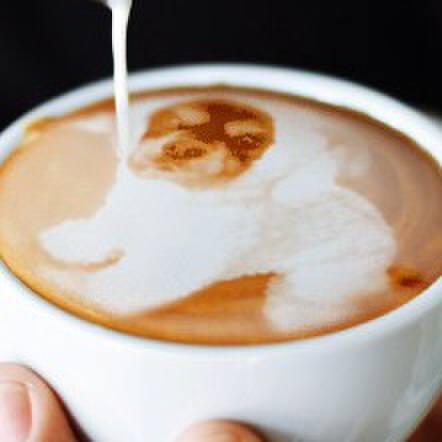 933d98a9 2fac 439b 8ae5 cbc22674c929 1574825216272