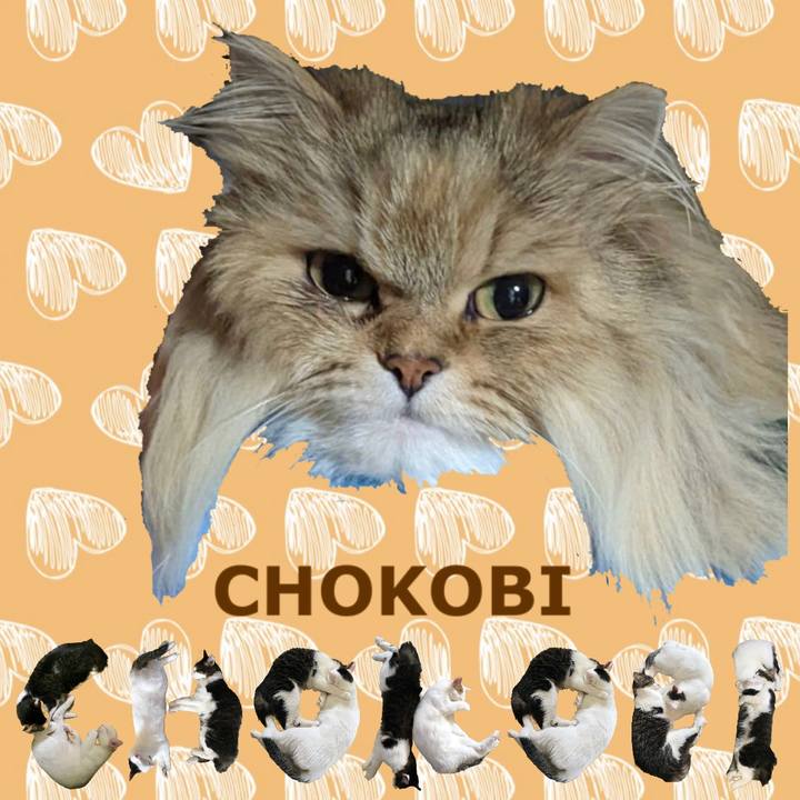 933d99fb 9524 49a0 9bbe 51d70a45e36f 1669089686058