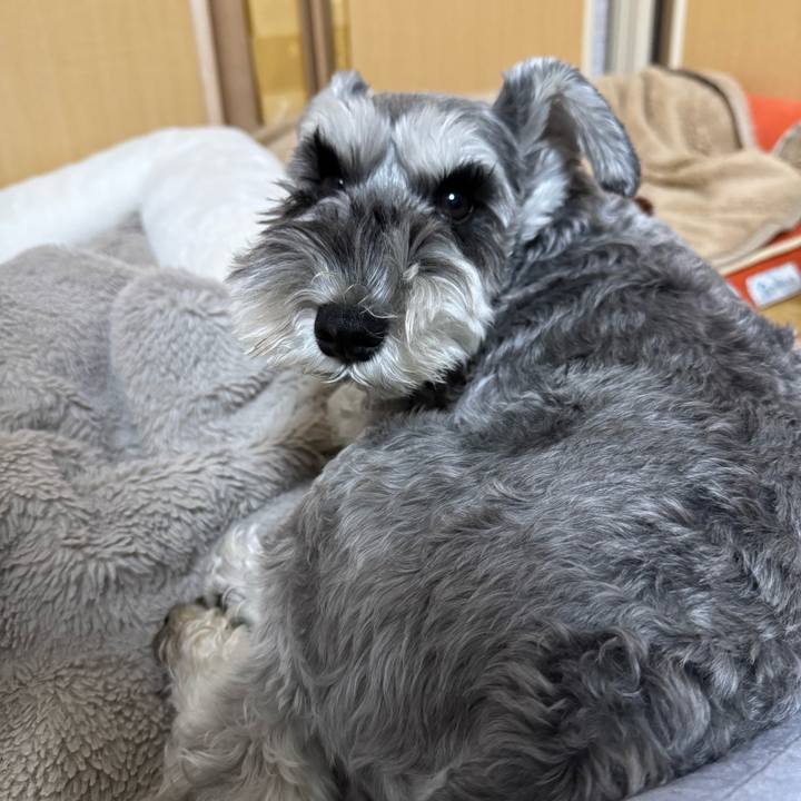 933dc01b a6a0 468e aa14 83c17f54afa5 1763416641321