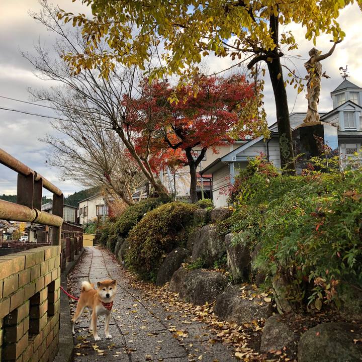 933e0b62 c23e 42ad a69c 8374a54573ba 1542629526214