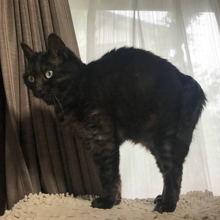 933e2263 5f27 422f ac83 e43bb51b431c 1525763778094