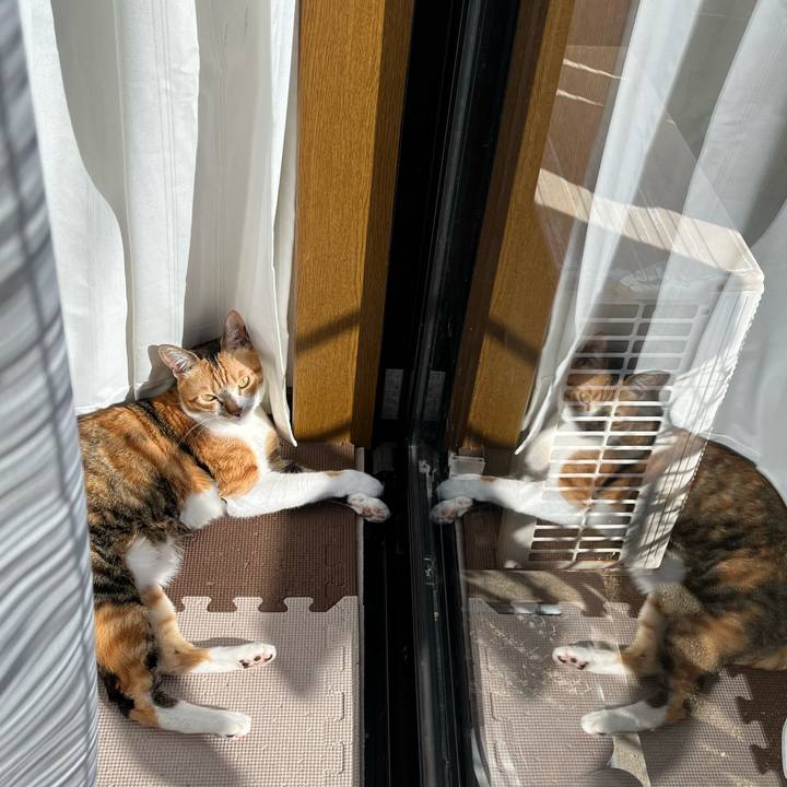 933e5b63 8349 44d5 9288 b0028743eb69 1766460128392