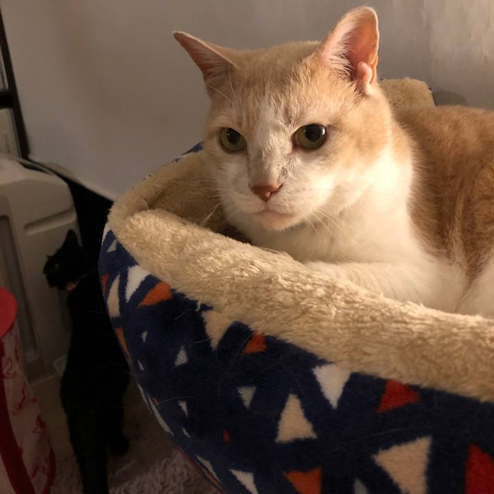 933e8734 6ea4 49a3 b2a7 346110fce945 1624279933287