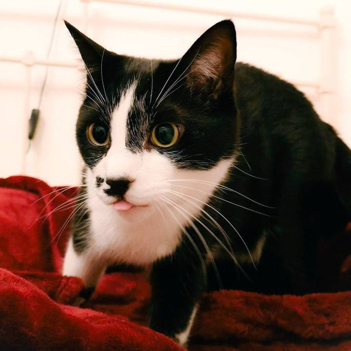 933e8ae0 37d1 44ef b402 1a14ce9fdb7d 1550014074025