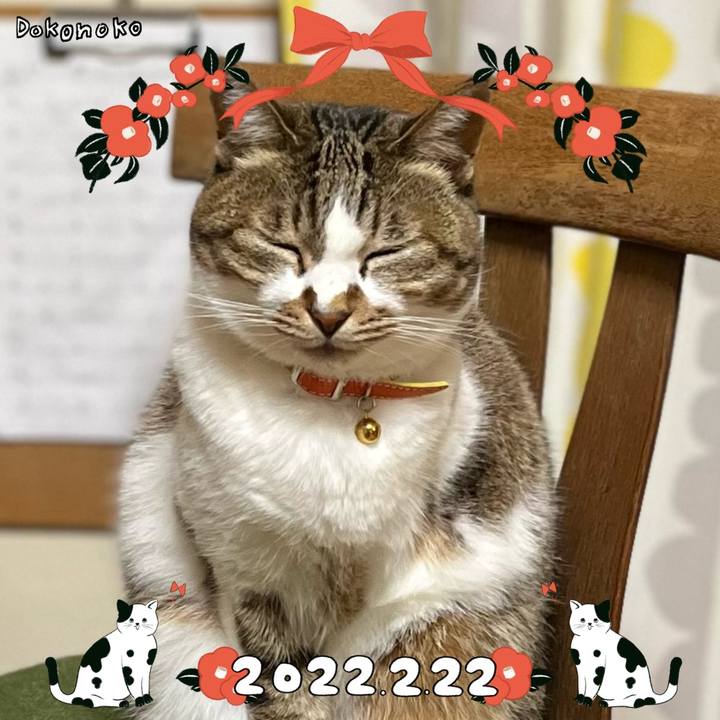 933e8bc1 7c58 4486 8d05 a667f95ebaf2 1645493212039