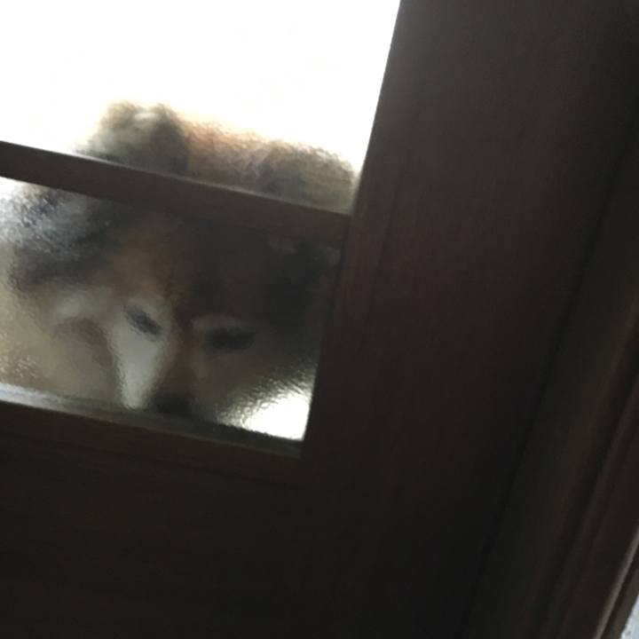 933e9dae 7d9d 4494 9646 6b19acb1967a 1558135157321