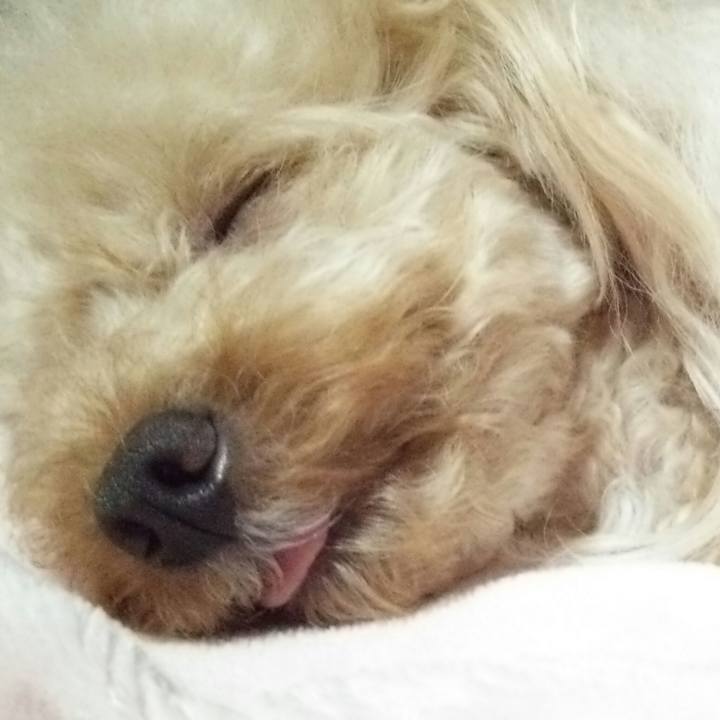 933eb4d4 190e 4db7 b69b 7fc105d6923d 1538573123603