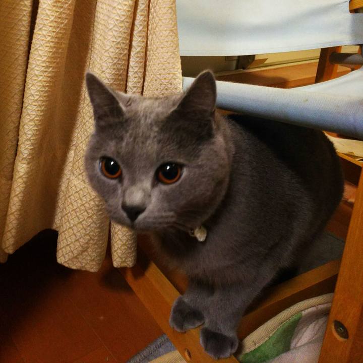 933ebfb3 e796 428c bfb9 3124ddadef57 1510100775064