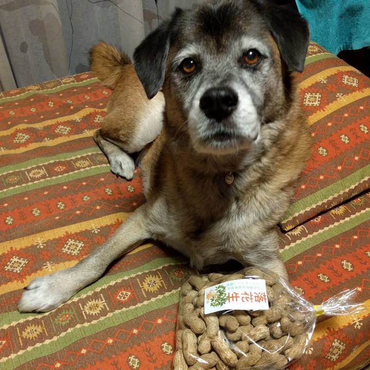 933ec9dd e0a6 4c28 814d 622bd68575ab 1541061207067