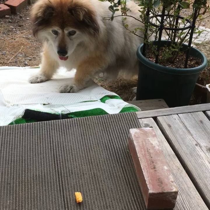 933ee740 ebd3 43bf b01e 2dfe475a9398 1568156749655