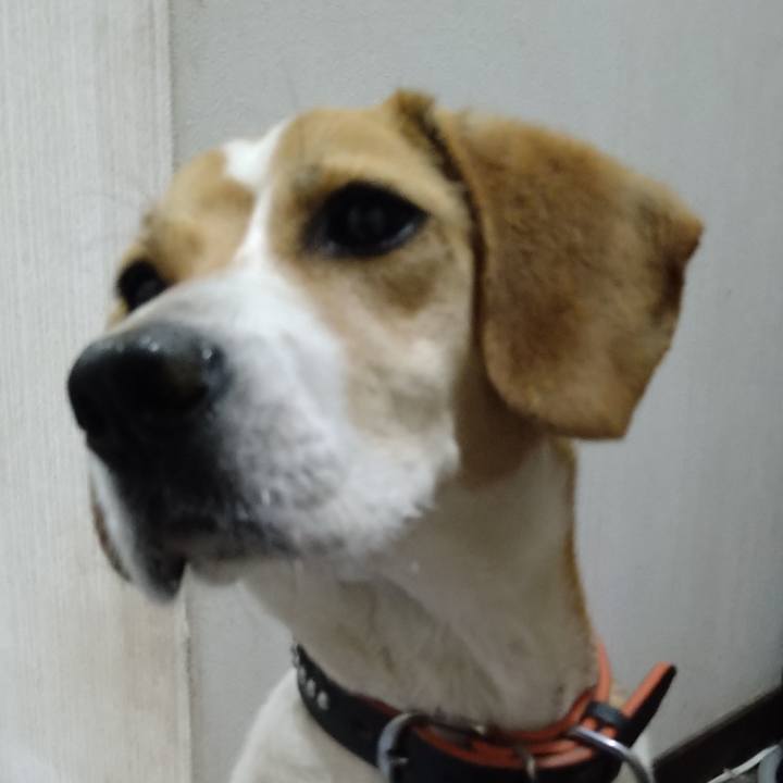 933f3ba6 f7b7 43b4 885c be30e5caf9a8 1621521419269