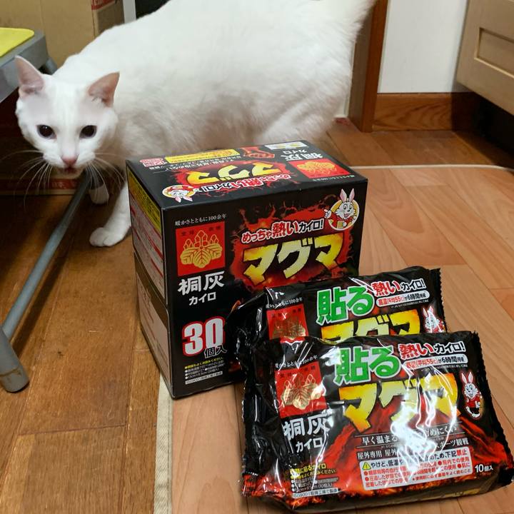 933f4b3f 8e69 46d0 bc9e 7ecc4e97d8b7 1604571913378