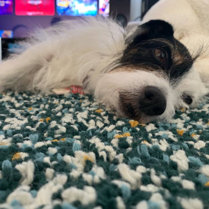 933f88f5 9e48 4003 94b3 e4b8742db47c 1690517018828