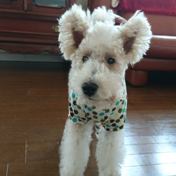 933f8a44 4b64 429e be82 995127201ad6 1520908080191