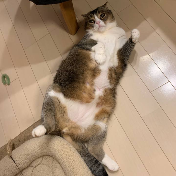 93400ea1 225d 480c 93f0 ac9d501a6a0b 1611270781643