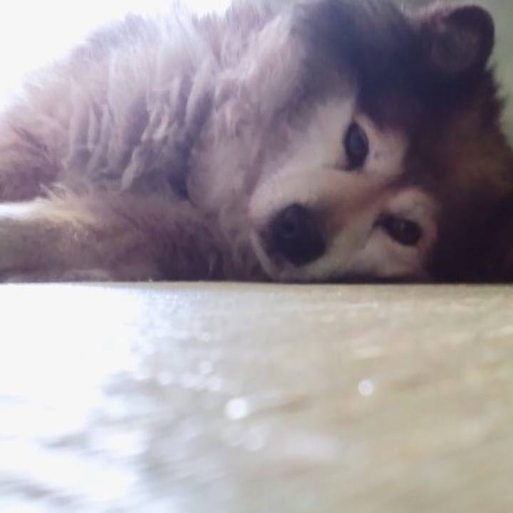 9340969e c180 4ea4 ad86 54ce42175c31 1555110249298