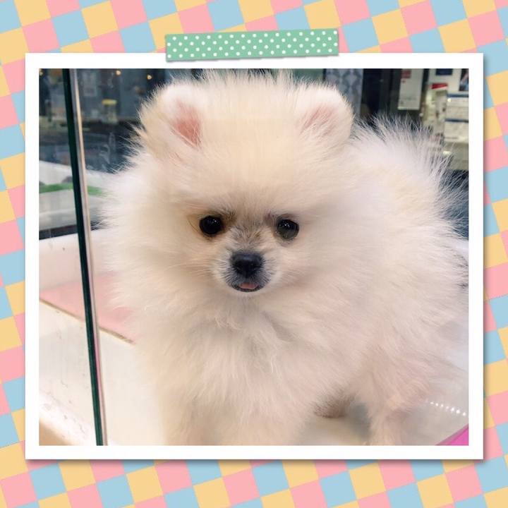 9340b841 0cb8 42d5 bd76 75656b7115ef 1619239915496