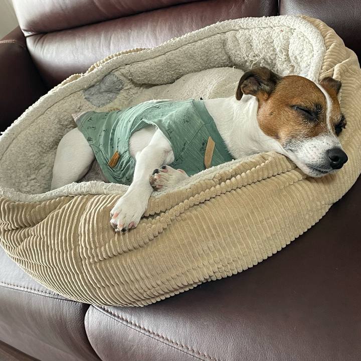 9340deb7 aaf5 45ec 9bb0 7b38ce9f8db0 1716770602880