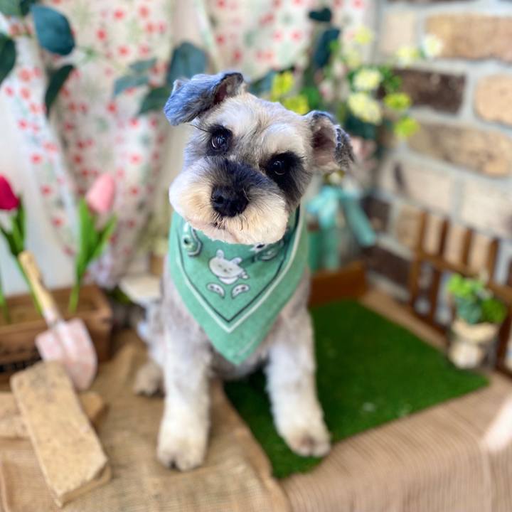 934120c2 1b39 4dff aaa5 72fbd6618ffa 1699361473965