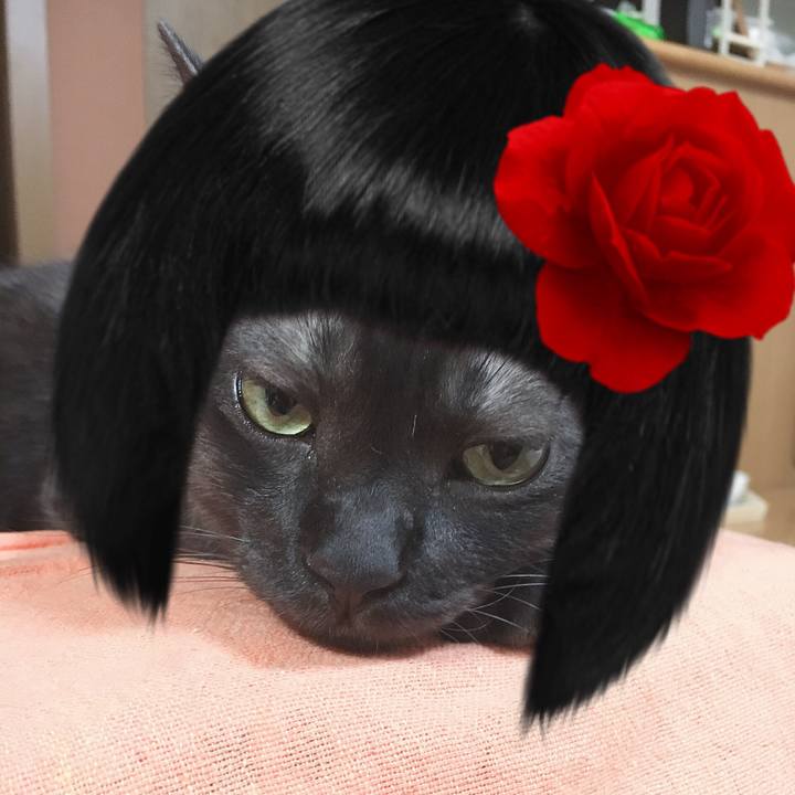 934124e0 d84c 41d5 94cc 4e2e1cbd15be 1564582409955