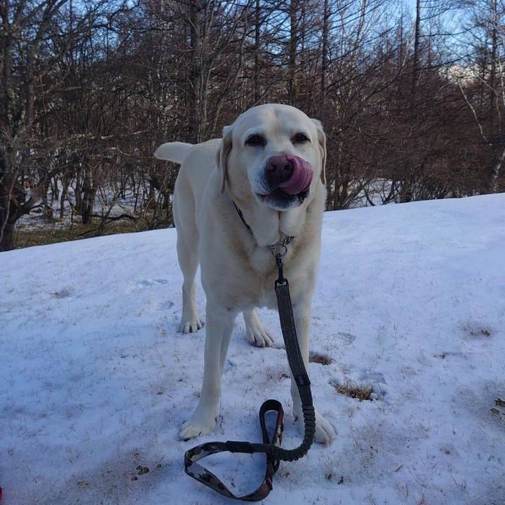 93413201 08cd 4bee afb3 97b2dfb2593e 1736913224276