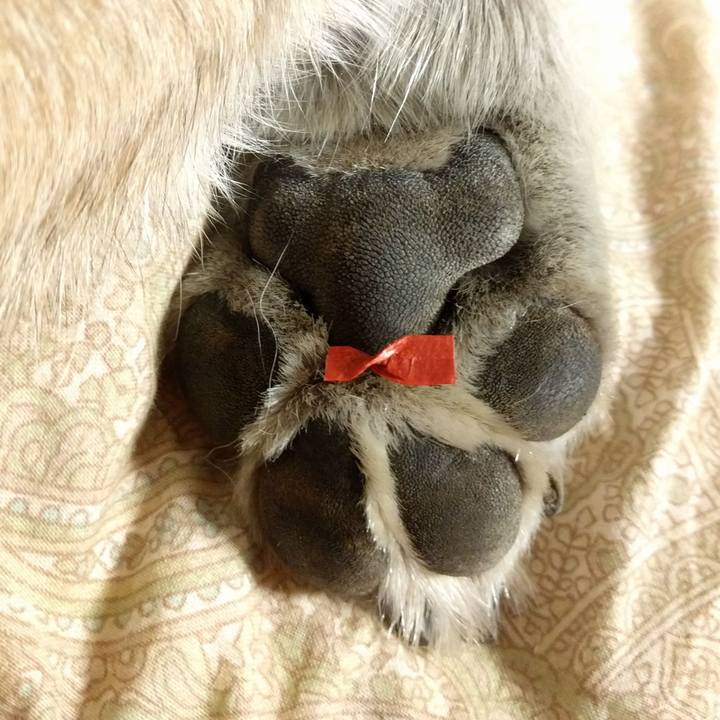 934181b6 cf62 4029 b588 1abfb1175322 1519901592572