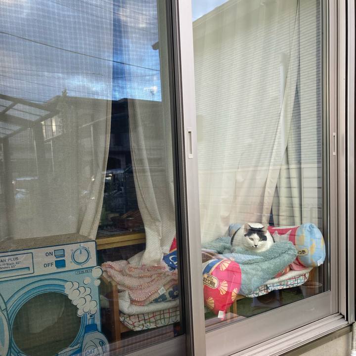 934183a5 2d88 4e7a a8d4 cc7d8ba2ca98 1765703322452