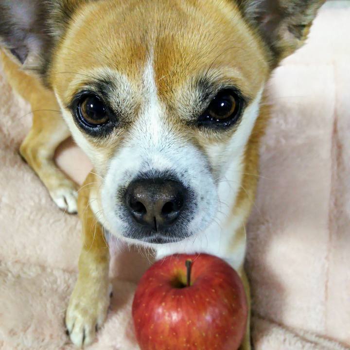 934198ea 9443 45bf ae20 978fa44ecc79 1578525653451