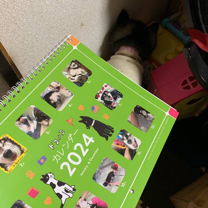 9341a03f a85e 496d bdd2 3d003582572c 1698233448220