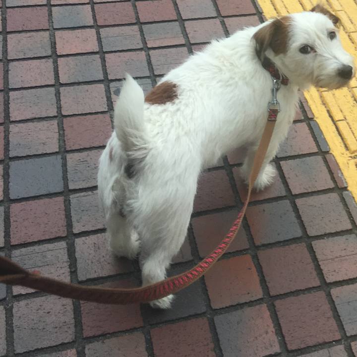 9341a06d 1041 41f2 b57b b4b347c7b47c 1541542510388